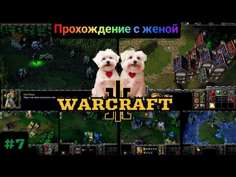 Видео: Культ проклятых! Warcraft 3: The Reign of Chaos.
