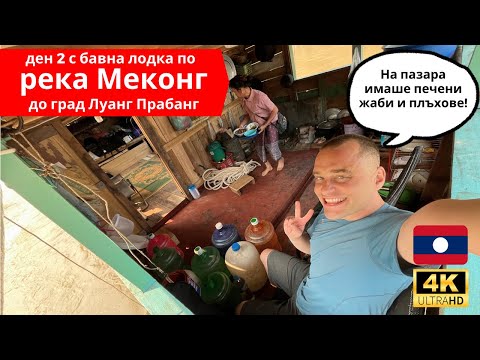 Видео: 🇱🇦 Сутрешния пазар в село Пак Бенг и втори ден с Бавна лодка по река Меконг в Лаос ⛴️