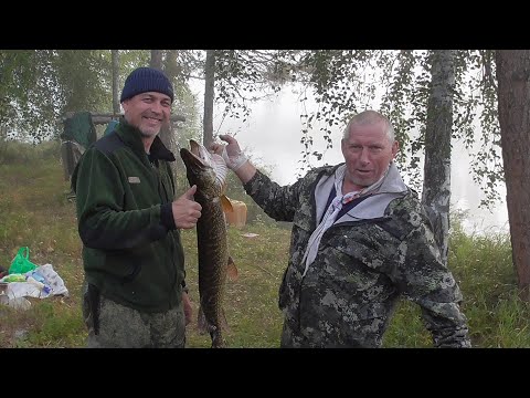 Видео: Неудачный  Поход _--2024-///