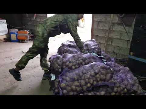 Видео: Линия для сухой очистки, чистки, сортировки, фасовки, упаковки картофеля, овощей, моркови, лука