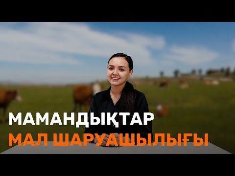 Видео: Мал Шаруашылығы / Мамандық таңдау/ JooKz 🧡