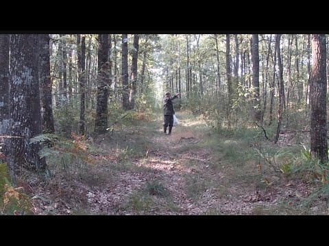 Видео: БЕЗМЕЖНИЙ ЖАЛЬ І РОЗПАЧ ГРИБНИКА😥 Краще б ми в тей ліс не ходили...