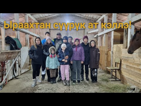 Видео: Тойбохойго Пятигорскайтан сүүрүк ат кэллэ - 2023