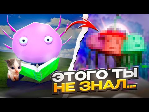 Видео: 😳ЭТОГО ТЫ ТОЧНО НЕ ЗНАЛ О KinitoPET