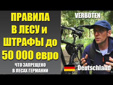 Видео: Леса Германии. Что можно и что запрещено.