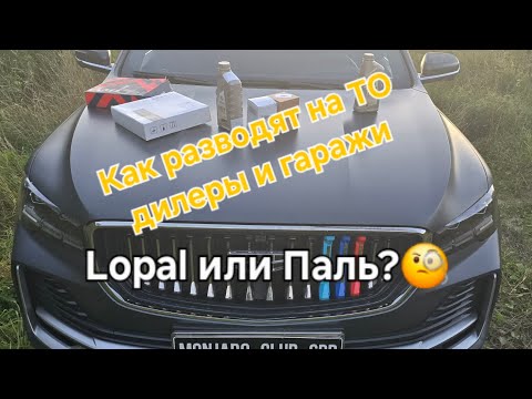 Видео: Как разводят на ТО дилеры и гаражи и как не попасться на уловки при обслуживании Geely Monjaro