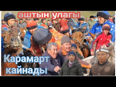 Видео: Карамарт аштын улагы уч жуз мин сорун