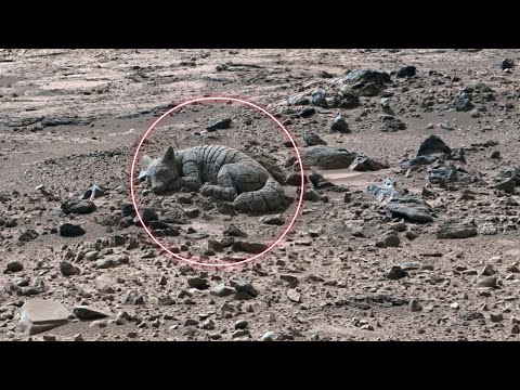Видео: Марсоход NASA Perseverance раскрывает тайное прошлое Красной планеты | Когда на Марсе были реки