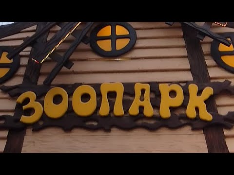 Видео: Трогательный зоопарк в парке Сказка