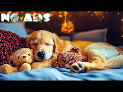 Видео: 12 часов исцеляющей музыки для собак 🐾 Спокойные звуки фортепиано для сна и борьбы с тревогой разлу