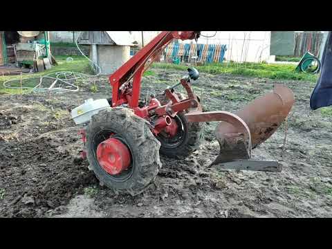 Видео: ✅Посадка картофеля мотоблоком мтз белорус 09Н