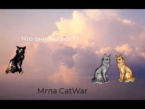Видео: Новости спустя долгое время/CatWar