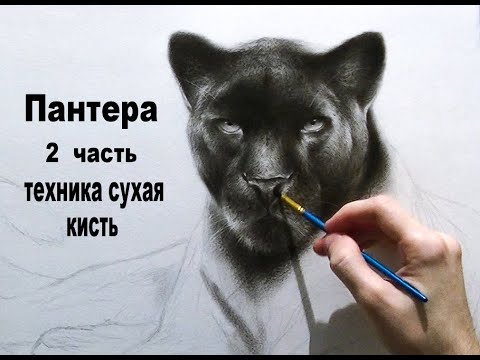 Видео: Мастер-класс по сухой кисти "Пантера" часть 2