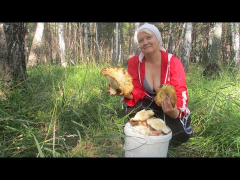 Видео: Урок мастерства от сенсея))).Танюшка учит меня где и как искать грибы в лесу!!! Семья в деревне.