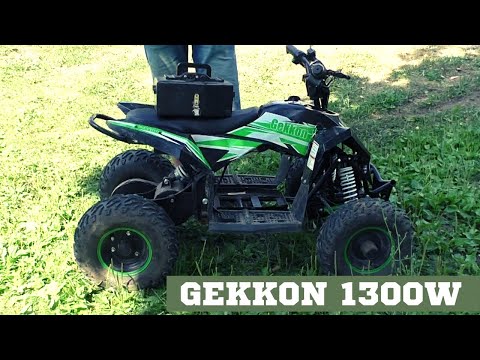 Видео: Обзор детского квадроцикла GEKKON 1300W