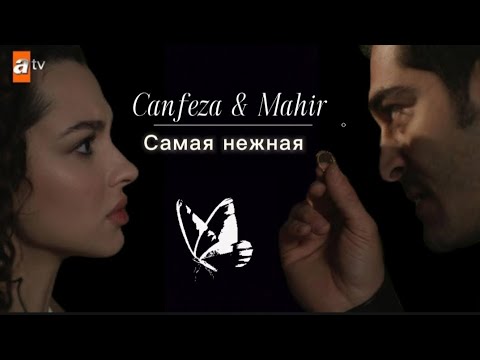 Видео: C & M || Ночная сказка