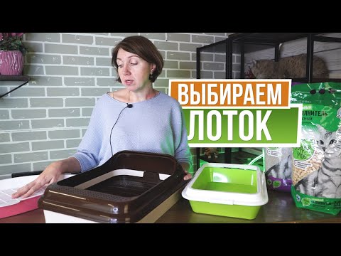 Видео: Как выбрать лоток для кошки  ✎ Виды лотков для кошек