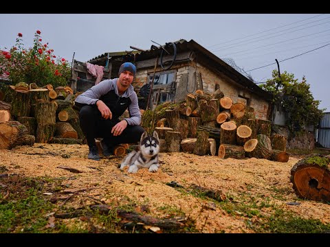 Видео: Один день из жизни///Тренировка ног на улице. One day in the life///Leg workout outside.