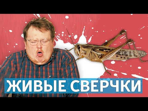 Видео: ПРОБУЕМ ЖИВЫХ СВЕРЧКОВ