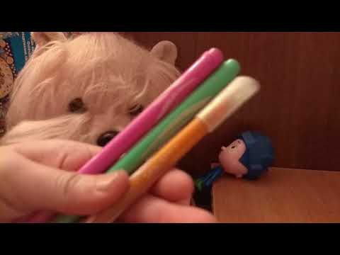 Видео: Как сделать книжку развивайку для Лаки доги