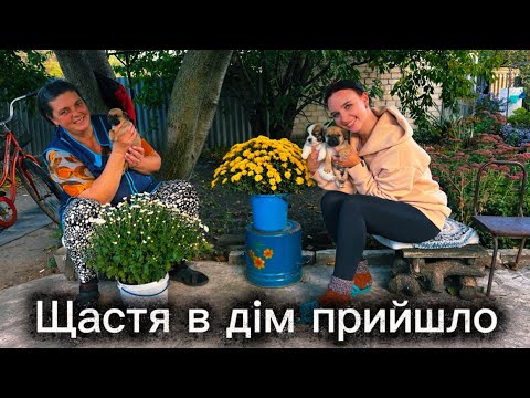 Видео: ЩАСТЯ В ДІМ ПРИЙШЛО. У МАМИ ЗʼЯВИЛИСЯ НОВІ КЛОПОТИ❤️