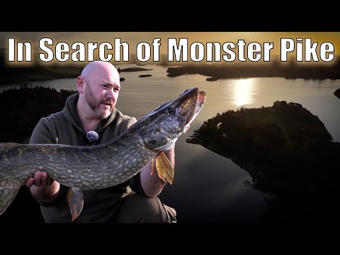 Видео: Ловля щуки — в поисках монстра Монагана