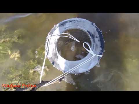 Видео: рыбалка на Убагане Сарыкольский р-он