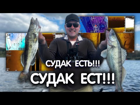 Видео: ИЩЕМ СУДАКА осенью!!! РАЗБОР скриншотов с ЭХОЛОТА LOWRANCE HDS LIVE. Рыбалка на джиг осенью.