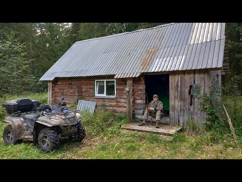 Видео: НА КВАДРОЦИКЛЕ В ТАЁЖНУЮ ИЗБУШКУ! ВАРИМ УХУ. ОХОТА НА РЯБЧИКА. СБОР ГРИБОВ.