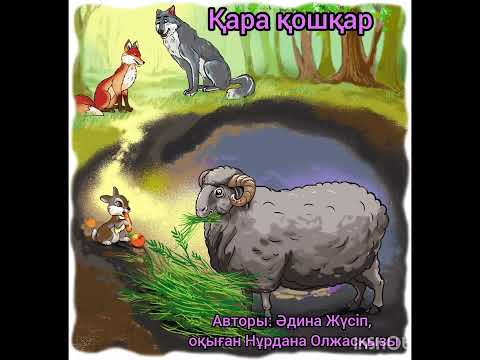 Видео: Қара қошқар