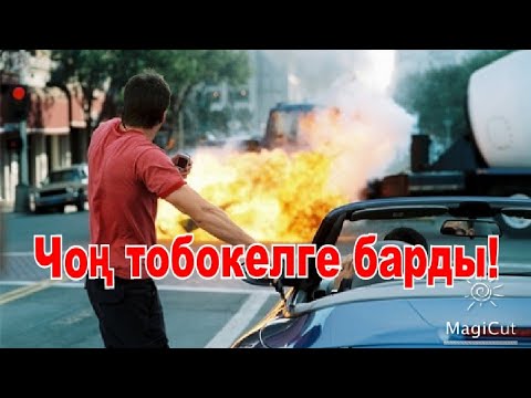 Видео: Чоң тобокелдерге барып адам өмүрүн сактоого шашты!
