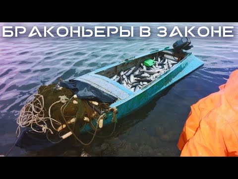 Видео: Браконьерство процветает: справляется ли рыбнадзор