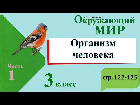 Видео: Организм человека. Окружающий мир. 3 класс, 1 часть. Учебник А. Плешаков стр. 122-125