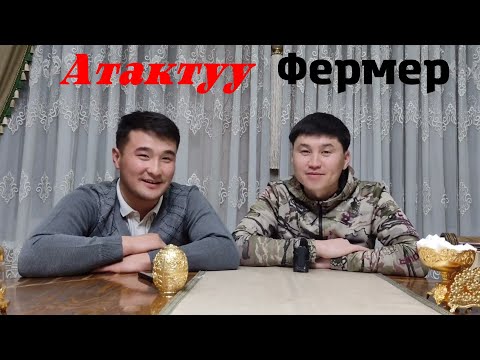 Видео: Рамис Джумабаевден АРАШАН койлоруу тууралуу суроо жооп жасадык // Мыкты селекционердин тажрыйбасы