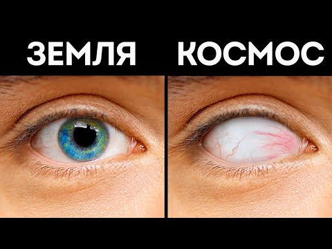 Видео: Марафон 100+ случайных фактов: Сколько вы знаете?