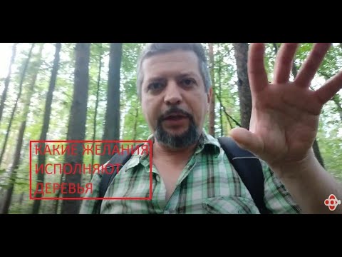 Видео: Какие желания могут помочь исполнить деревья?
