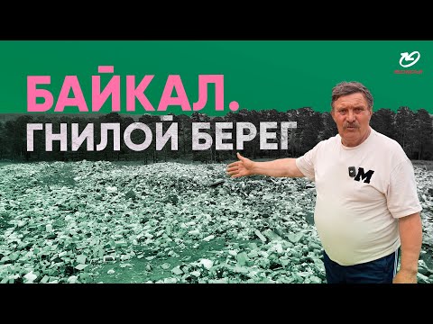 Видео: Гигантские свалки на берегах Байкала. Мусор отравляет озеро