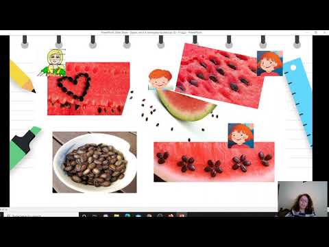 Видео: II одделение - Математика - Броење , читање и запишување на броеви до 50