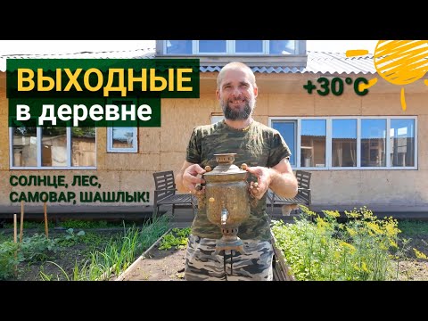 Видео: ❗️ВАРЕНЬЕ ИЗ ШИШЕК❗️САМОВАР❗️ ШАШЛЫК❗️ПРОГУЛКИ ПО ЛЕСУ