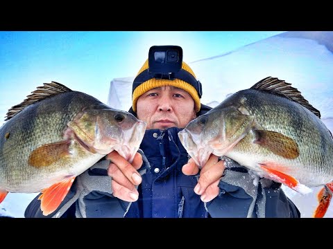 Видео: Я таких ОКУНЕЙ еще не видел. ЧП утопили Айфон...