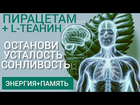 Видео: Заряд Энергии Высокая Трудоспособность Активная Память l Phenylpiracetam + L-theanine - Benefits
