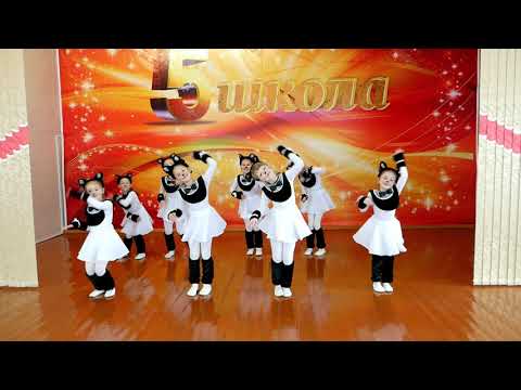 Видео: Танец котят