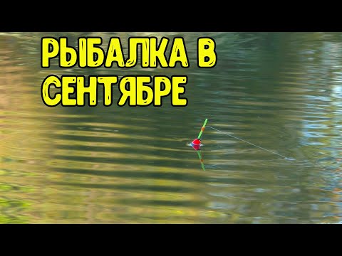 Видео: Первая рыбалка в сентябре !