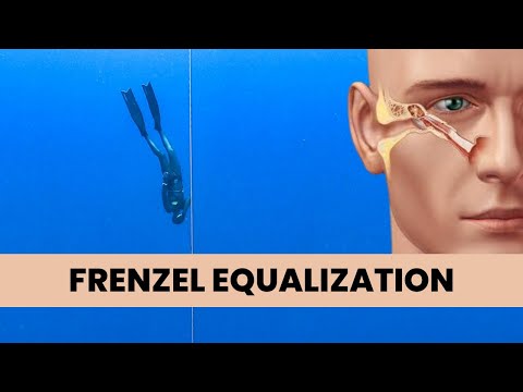 Видео: ПОЛНОЕ руководство по Frenzel EQ | Продувка фридайвинга для начинающих