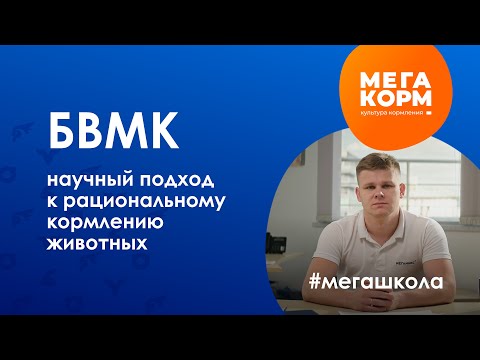 Видео: БВМК: научный подход к рациональному кормлению животных