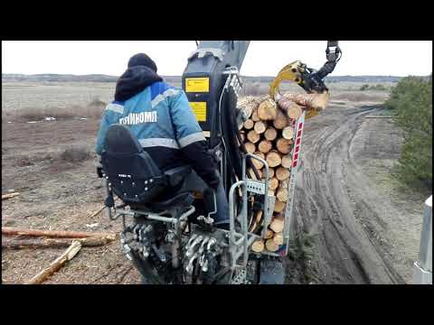 Видео: Мерседес + Кесла,погрузка леса...
