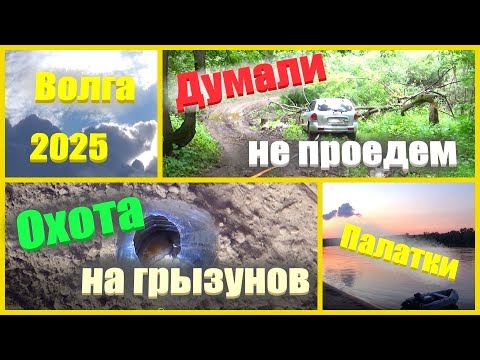 Видео: @145 Погода рулит/Боремся с грызунами