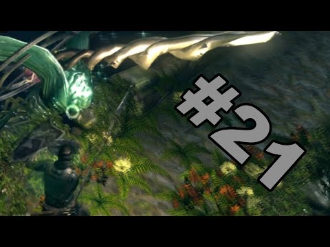 Видео: ИССЛЕДУЕМ ЛЕС!!!!!! (Dark souls: PtDE №21)