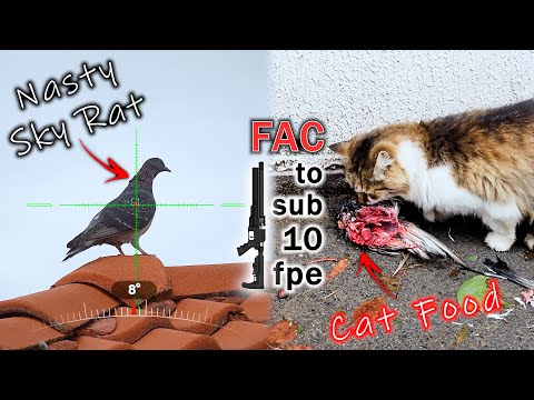 Видео: Винтовка FAC настроена на менее чем 10 фут-фунтов!