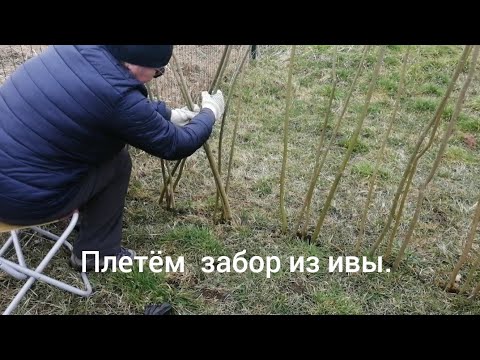 Видео: Плетём забор из ивы. Создаём зоны отдыха, начало положено.